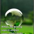 embun.jpeg